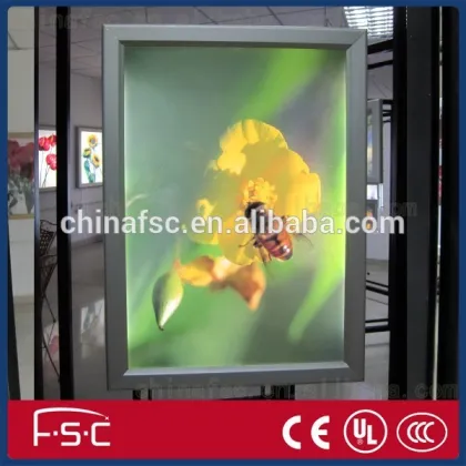 Art show light frames