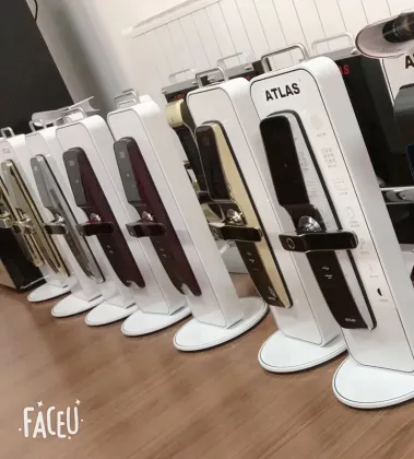 High-Quality WiFi Enabled Electronic Digital Fingerprint Smart Door Lock Systems