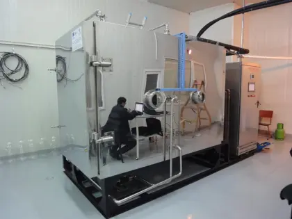 faba beans/dry beans/horse beans