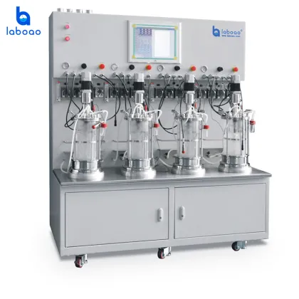 Laboao Customized Scientific Research Bioreactor & Biological Fermentor