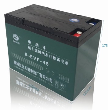 High Quality Electric Bicycle with 12V45AH Sealed Maintenance-Free Rechargeable Gel Lead-Acid Battery - Factory Direct Sales