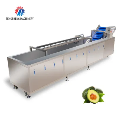 Fruit and Vegetable Washing Machine: Fruits Bubble Washing Machine & Vegetable Washer