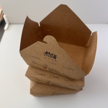 Diseño de aceite de pollo frito ecológico