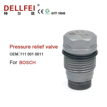 Bosch Common Rail Pressure Limiting Valve 1110010011