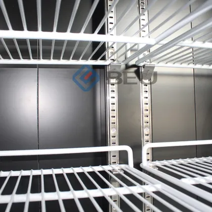 Commercial Pepsi Single Glass Door Embraco Compressor Refrigerator for Supermarket