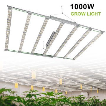 Plante des feuilles vertes légères LED