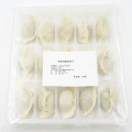 Bolinhos congelados chineses