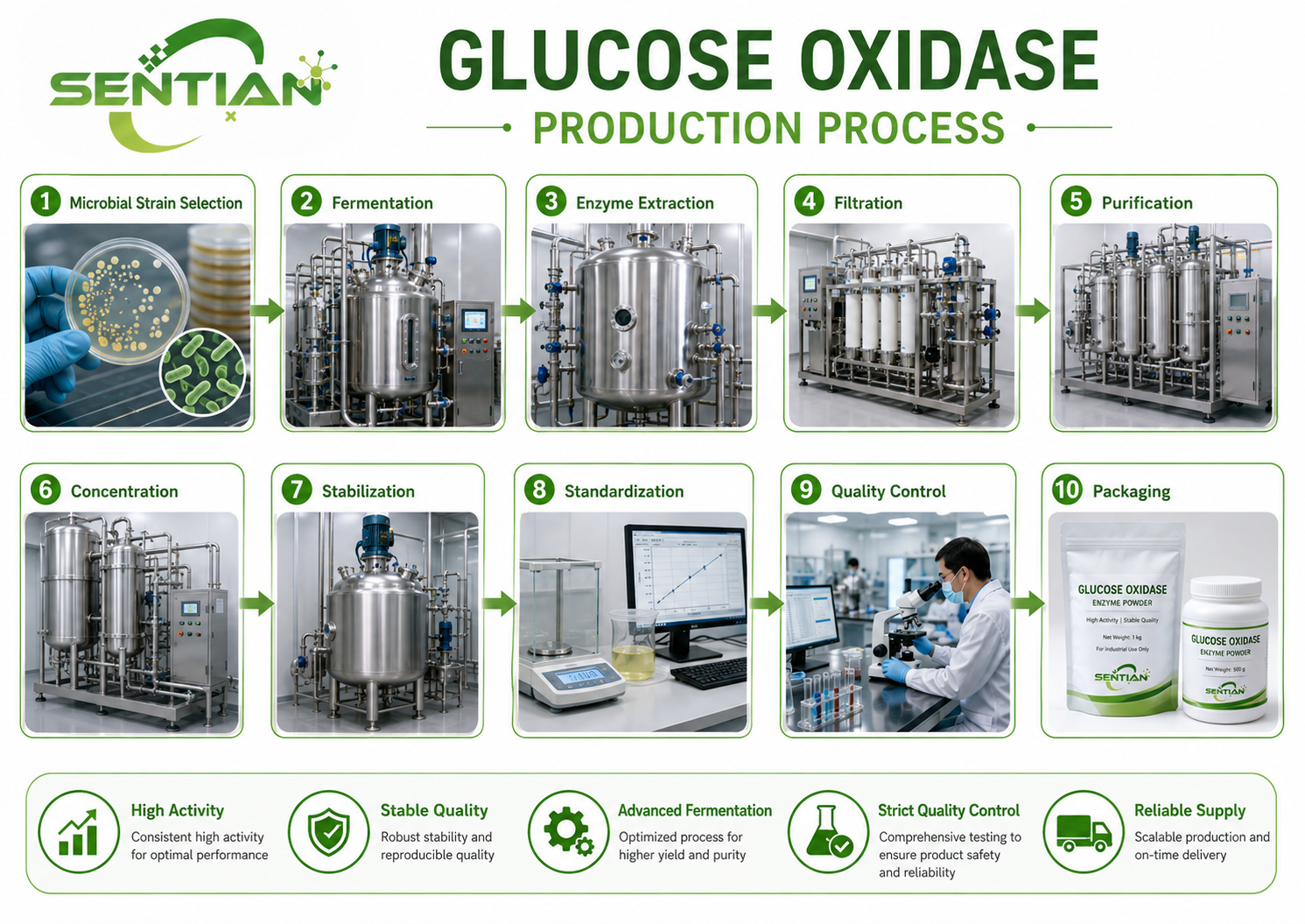 Glucose Oxidase