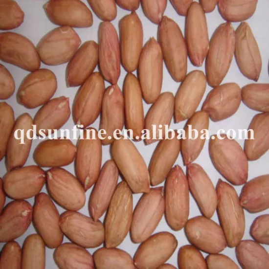 groundnut (peanut) new
