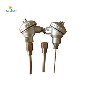 Duplex RTD Thermal Resistance, Pt100 Sensor in Stainless Steel: High-Precision Temperature Measurement Solutions