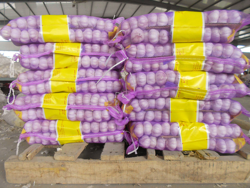 purple mesh bag garlic 