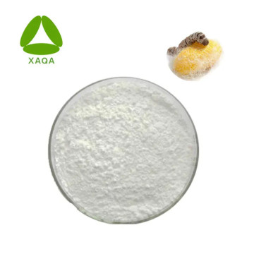 Silk Fibroin Silk Protein Powder 90% Water Soluble