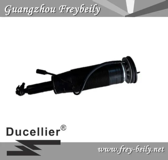Mercedes Benz Left Front/ Right Front Hydraulic Shock Absorber W2213202313/W2213202413