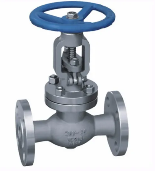 DN65 Straight Type Stainless Steel Globe Valve