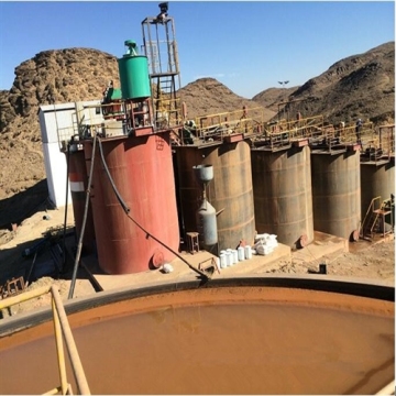 CIL Gold Leaching Plant Solutions