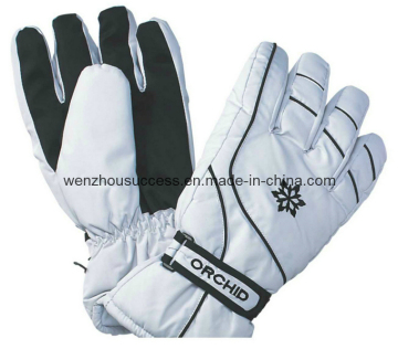 Ski Gloves (SH12-2G031)