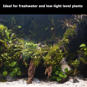 Éclairage de capot d&#39;aquarium LED douce LED Light