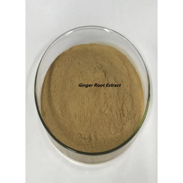 Factory Price Ginger Root Pregnancy Extract Powder