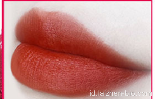 Grosir tanpa label Multi-warna matte lipgloss DOM / OEM