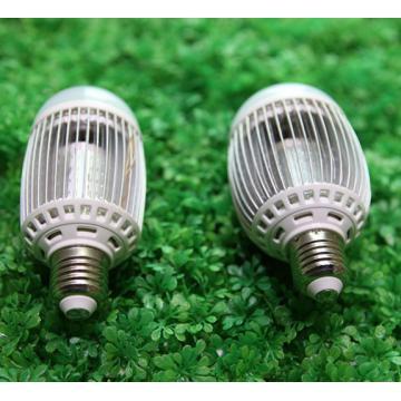 Bulbs lamp 10w dimmable and competitive price top quality