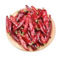 China Babysbreath Chili dried chili food flavor sweet spicy Supplier