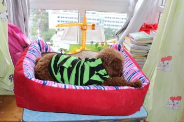 luxury fashion dog bed by OEM