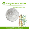 High Quality Astragalus Root Extract Powder 10:1