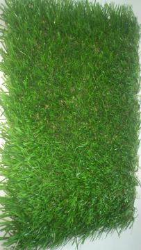 Leisure Grass & Landscape & Garden Decorative Turf& 25mm (GNDQ-2-25)