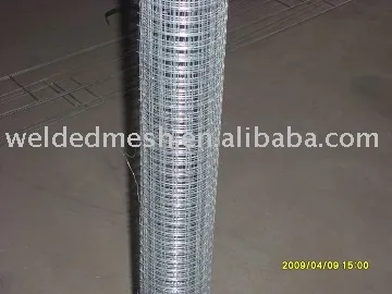 wire mesh fence/electro welding net welded wire mesh, FACTORY!