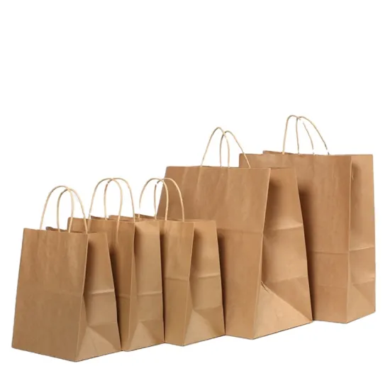 Brown Paper Lunch Bag Carrier for Takeout