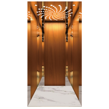 Titanium gold mirror stainless steel villa elevator
