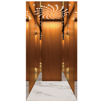 Titaniumgoldspiegel Edelstahl Villa -Aufzug