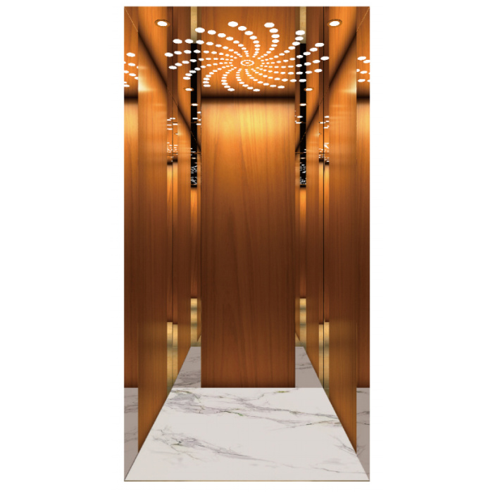 Titaniumgoldspiegel Edelstahl Villa -Aufzug