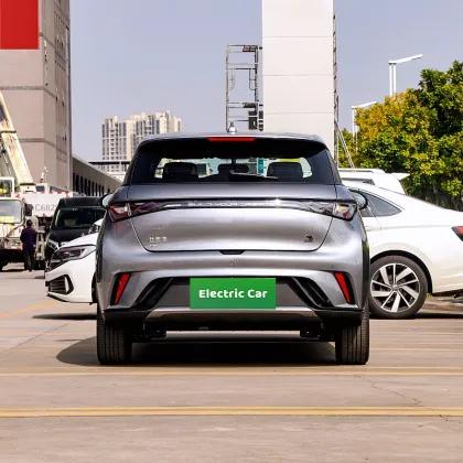 Small pure electric hatchback BYD dolphin
