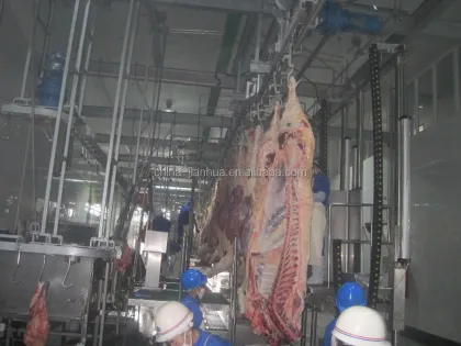 Hala Complete Cow & Buffalo Slaughter Machine Line