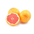 Food Supplement Use High Purity pink grapefruit powder