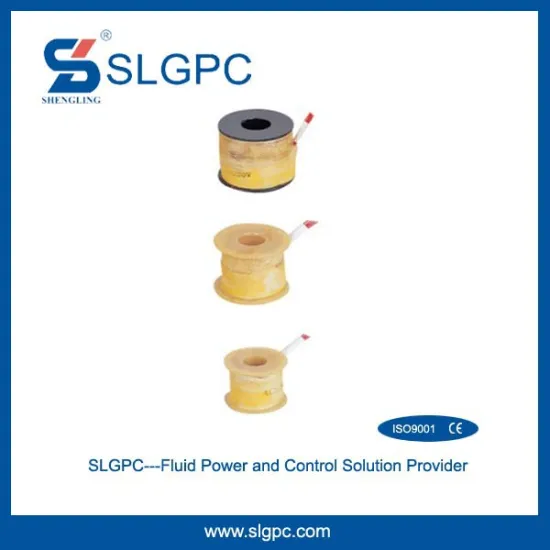 Chinese wholesale 2W series hydraulic solenoid valve coil 24v