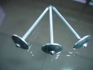 Specialized Production Roofing Nails with Umbrella