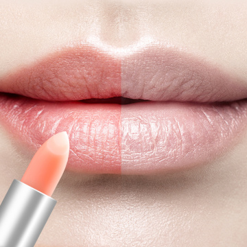 Chapstick 2021 neuer Lippenstift