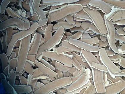 Dried Sliced Ganoderma Lucidum/Reishi Mushroom