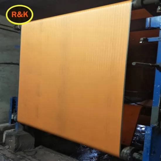 China 28508 PET limestone desulfurization mesh belt for powder plant