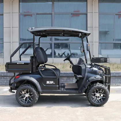 Electric Differential for Golf Cars