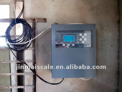 customized belt scale electronic belt scale with print out