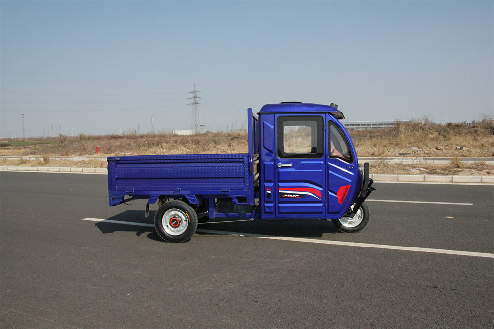 Passenger and cargo adult electric tricycle