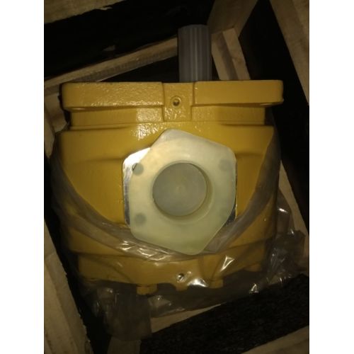 Shantui Bulldozer working pump 07446-66103