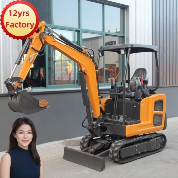 12 Years Factory Direct Supply 2 Ton Mini Excavator with Cabin and Attachments