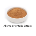 Buy online ingredients Alisma orientalis Extract powder