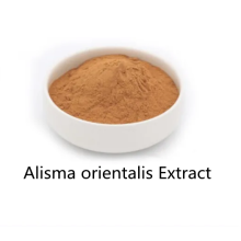 Buy online ingredients Alisma orientalis Extract powder