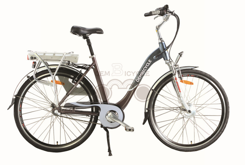 e bike01