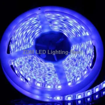 popular sale!SMD5050 120LED per meter led tape light